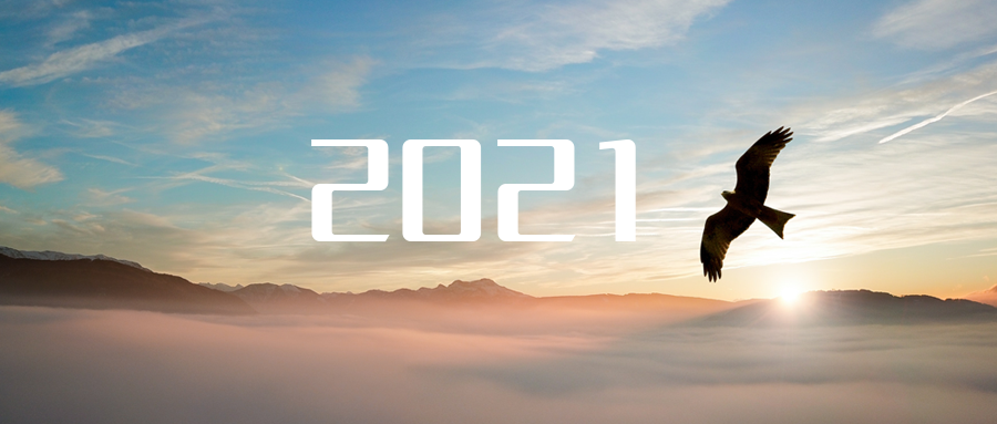 乘“峰”而上，智“盈”未来 ——2021年NG娱乐环境高级资深副总裁新年开工动员